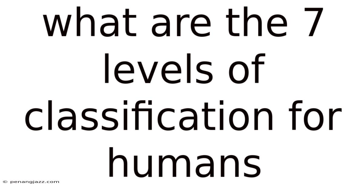 What Are The 7 Levels Of Classification For Humans