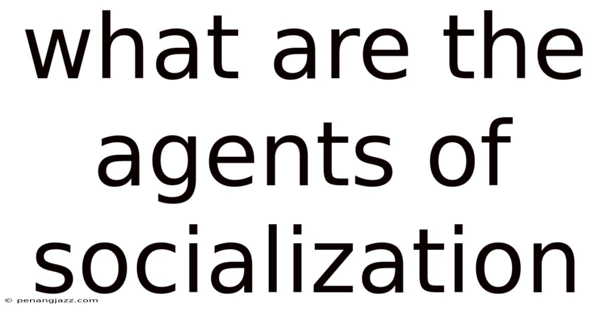 What Are The Agents Of Socialization