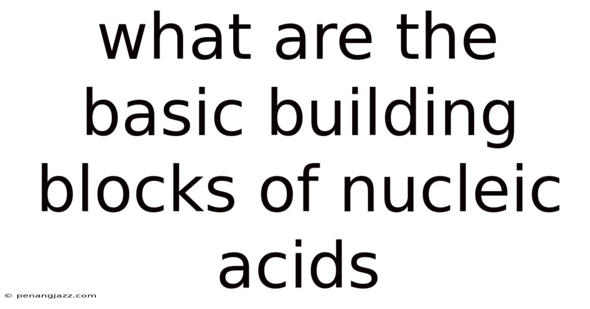 What Are The Basic Building Blocks Of Nucleic Acids