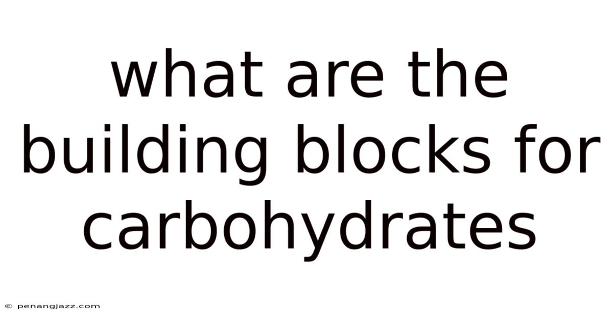 What Are The Building Blocks For Carbohydrates