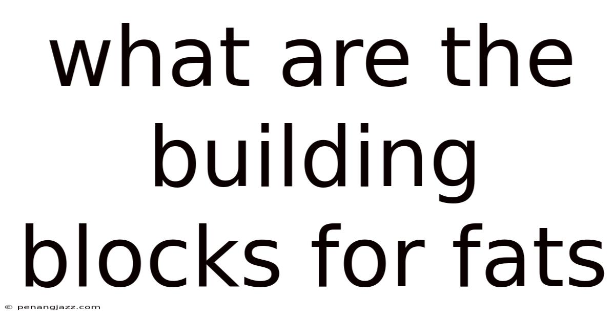 What Are The Building Blocks For Fats