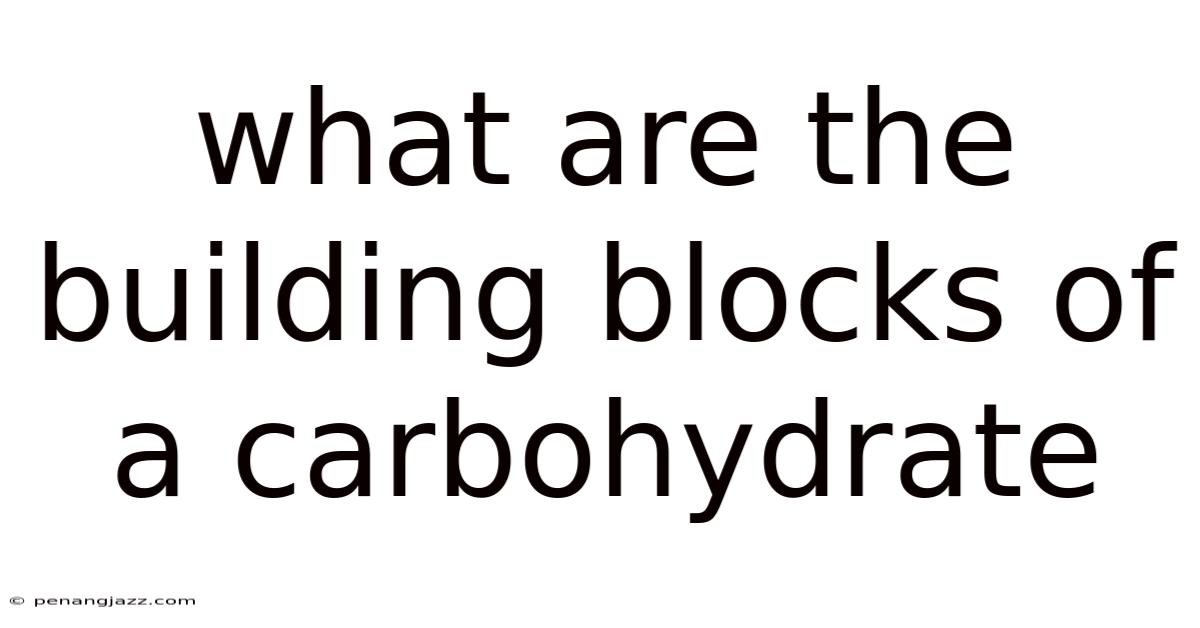 What Are The Building Blocks Of A Carbohydrate