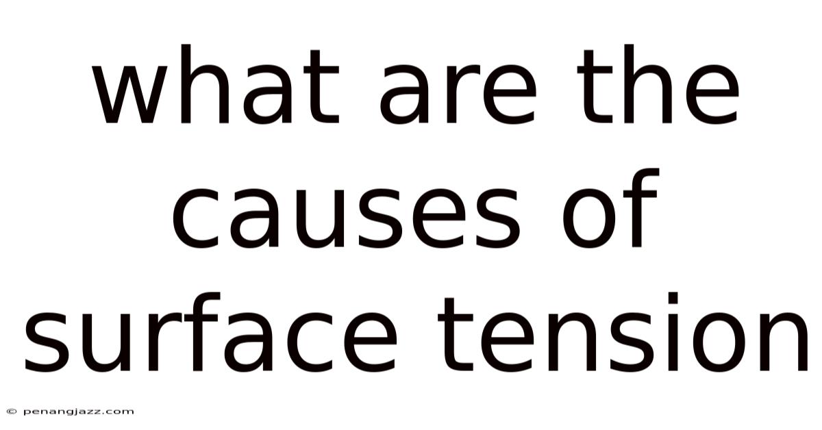 What Are The Causes Of Surface Tension