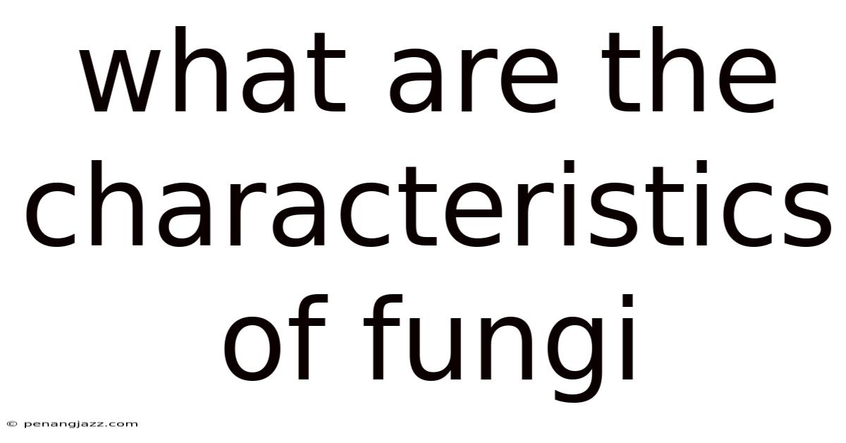 What Are The Characteristics Of Fungi