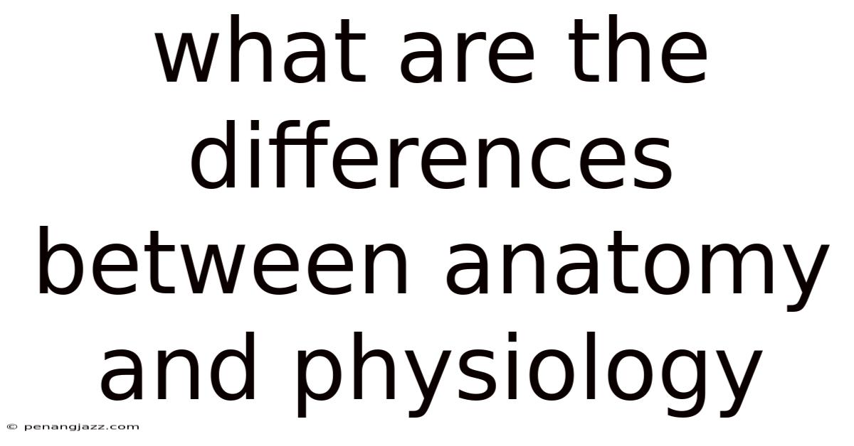 What Are The Differences Between Anatomy And Physiology