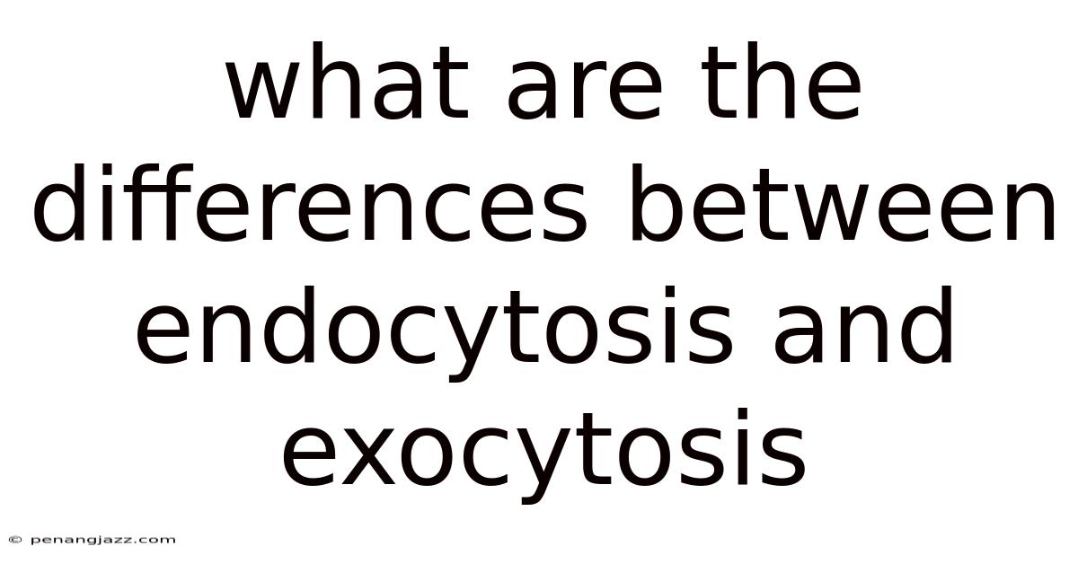 What Are The Differences Between Endocytosis And Exocytosis