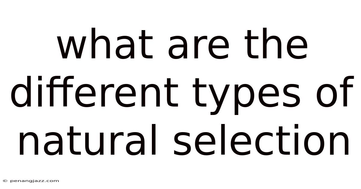What Are The Different Types Of Natural Selection
