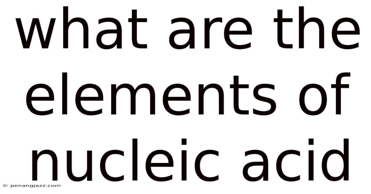 What Are The Elements Of Nucleic Acid