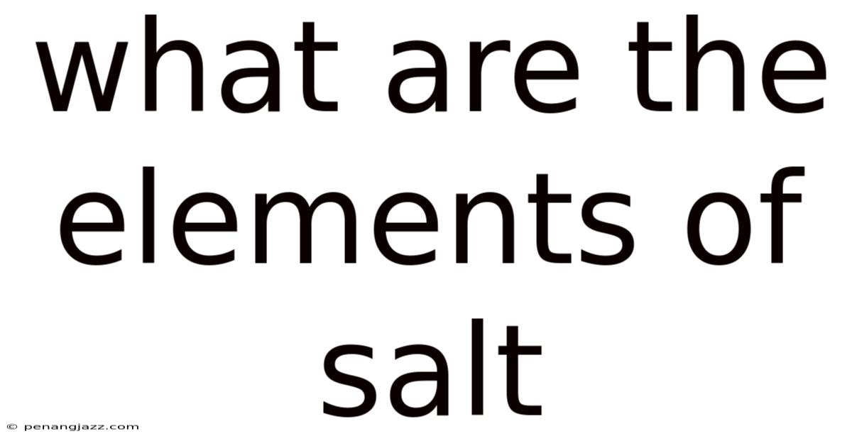What Are The Elements Of Salt