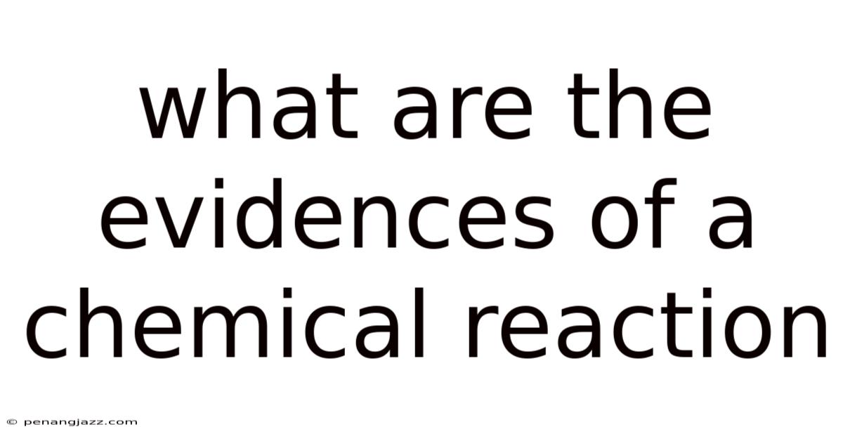 What Are The Evidences Of A Chemical Reaction