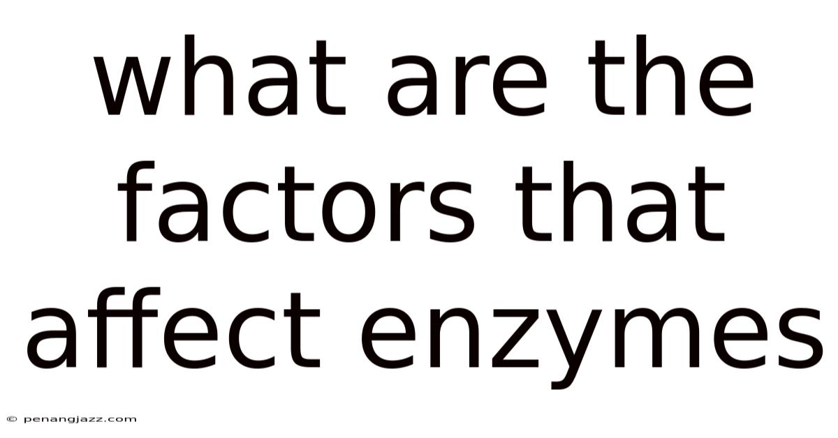 What Are The Factors That Affect Enzymes