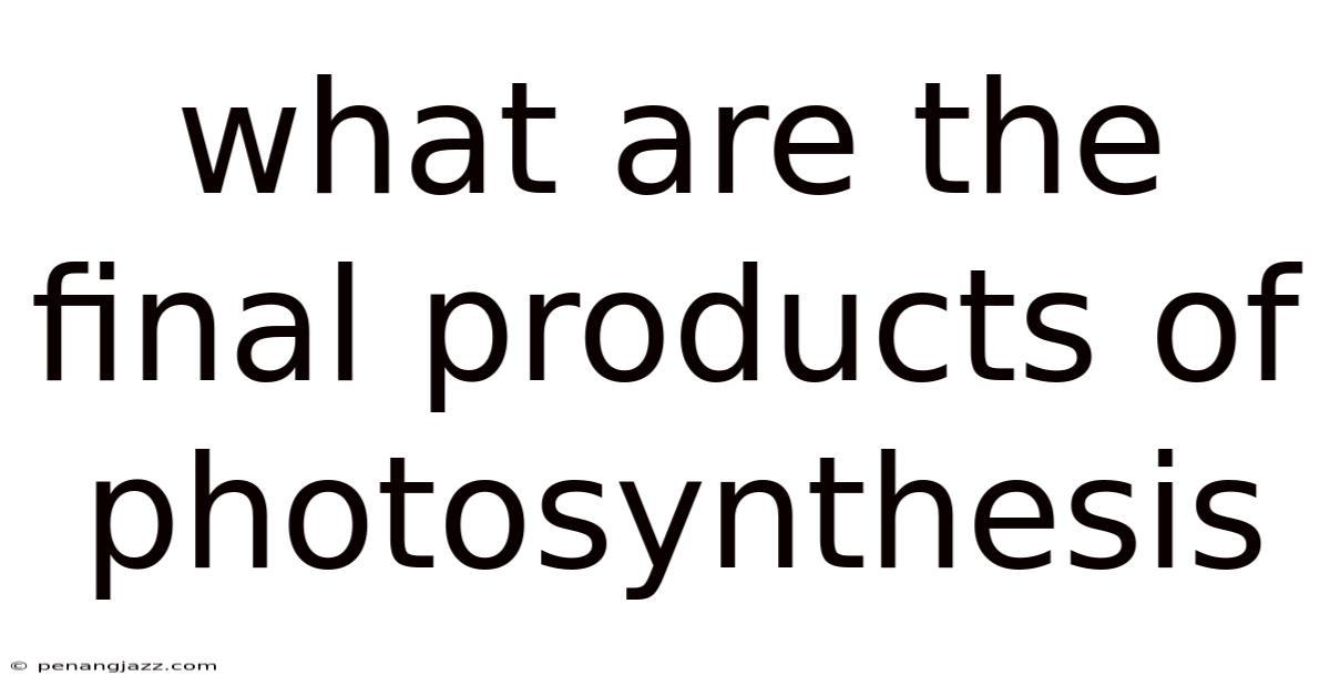What Are The Final Products Of Photosynthesis