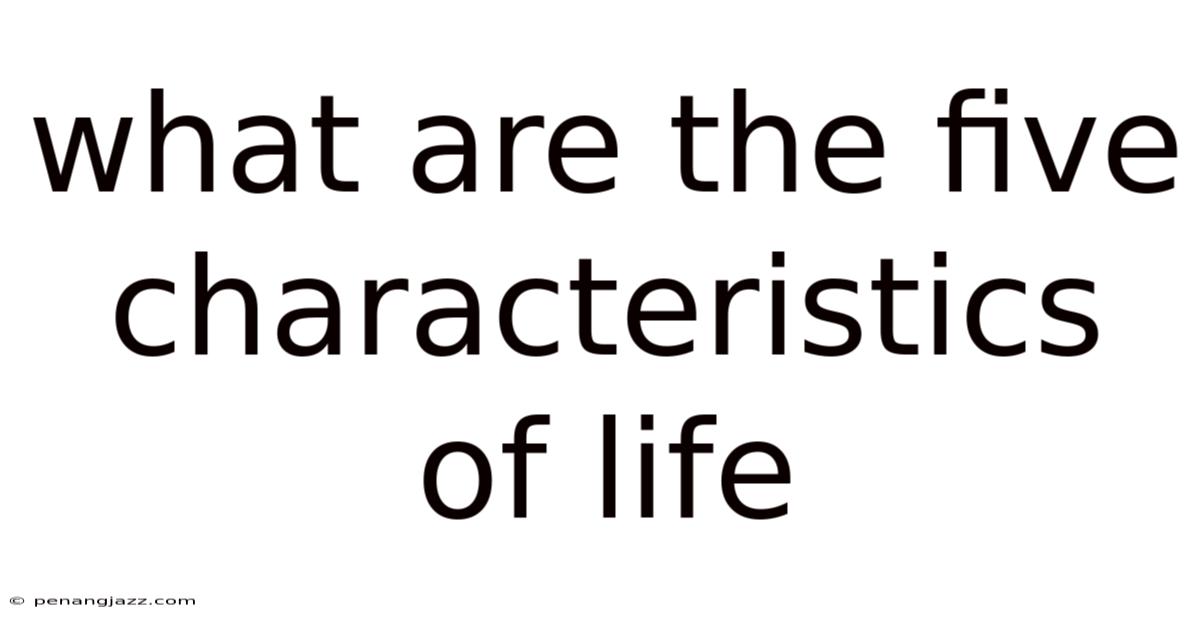 What Are The Five Characteristics Of Life