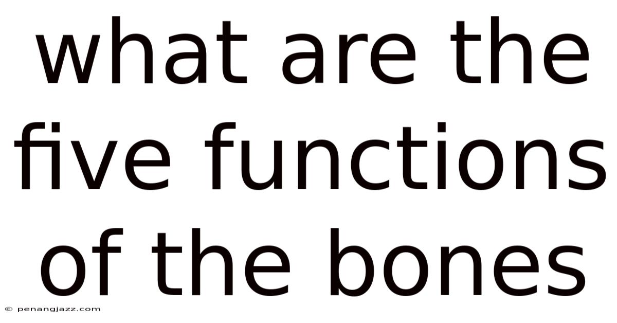 What Are The Five Functions Of The Bones