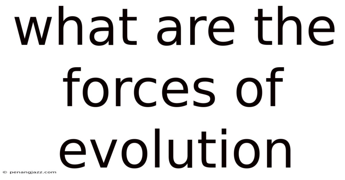 What Are The Forces Of Evolution