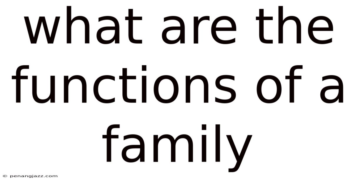 What Are The Functions Of A Family