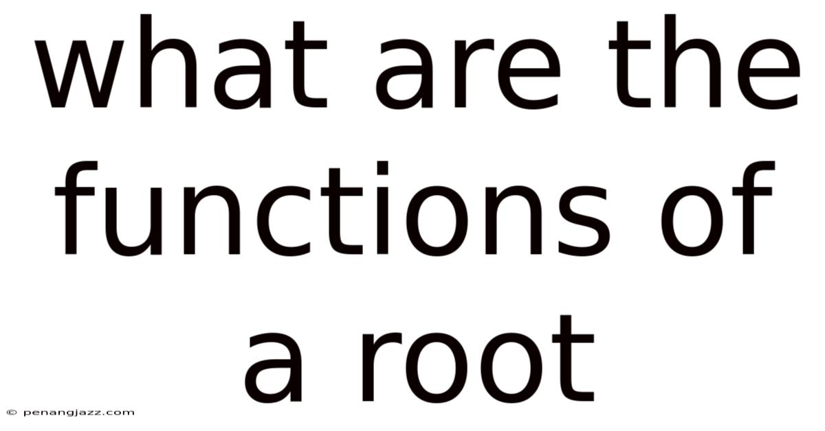 What Are The Functions Of A Root