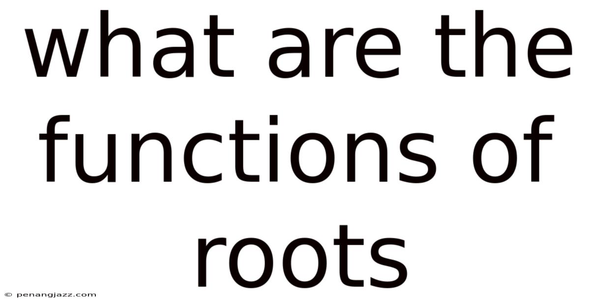 What Are The Functions Of Roots