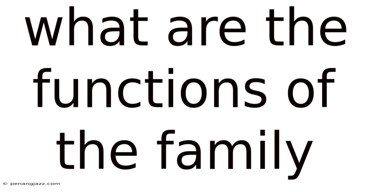 What Are The Functions Of The Family