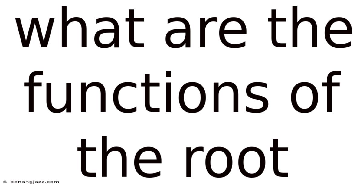 What Are The Functions Of The Root