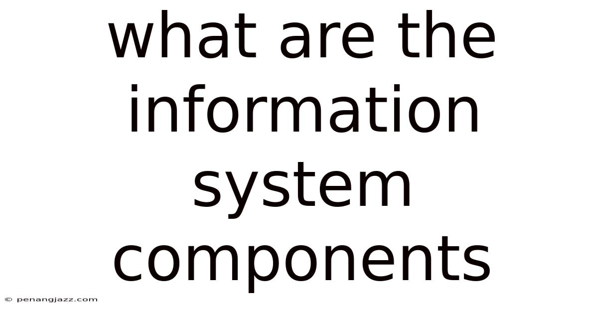 What Are The Information System Components