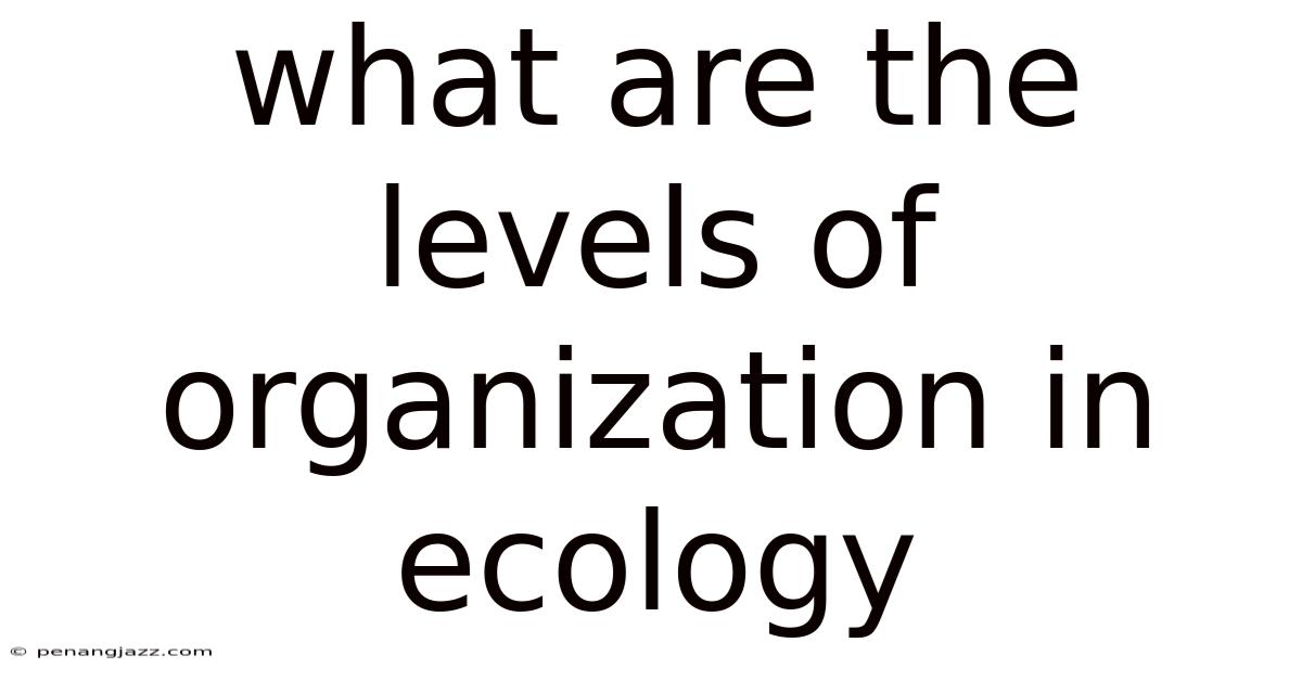 What Are The Levels Of Organization In Ecology