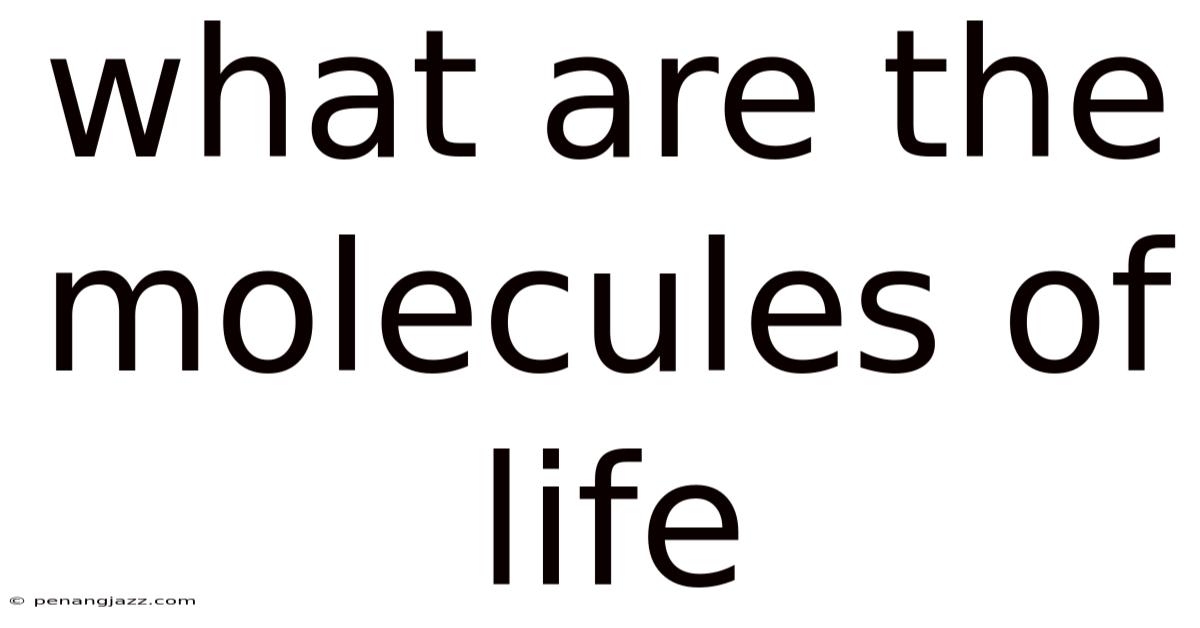 What Are The Molecules Of Life
