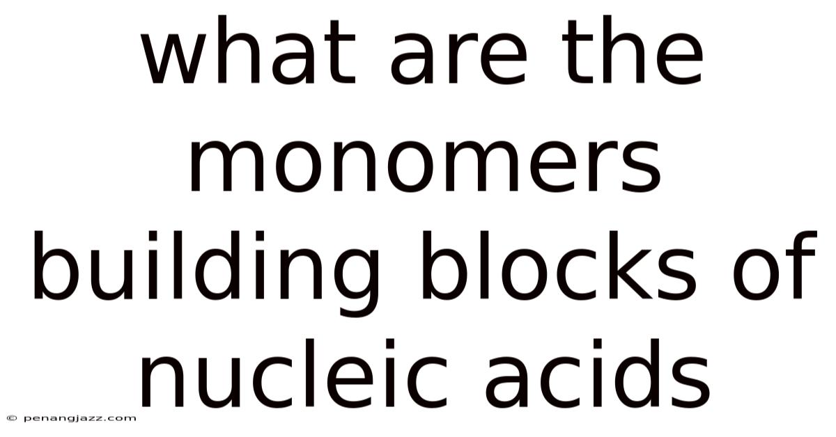 What Are The Monomers Building Blocks Of Nucleic Acids