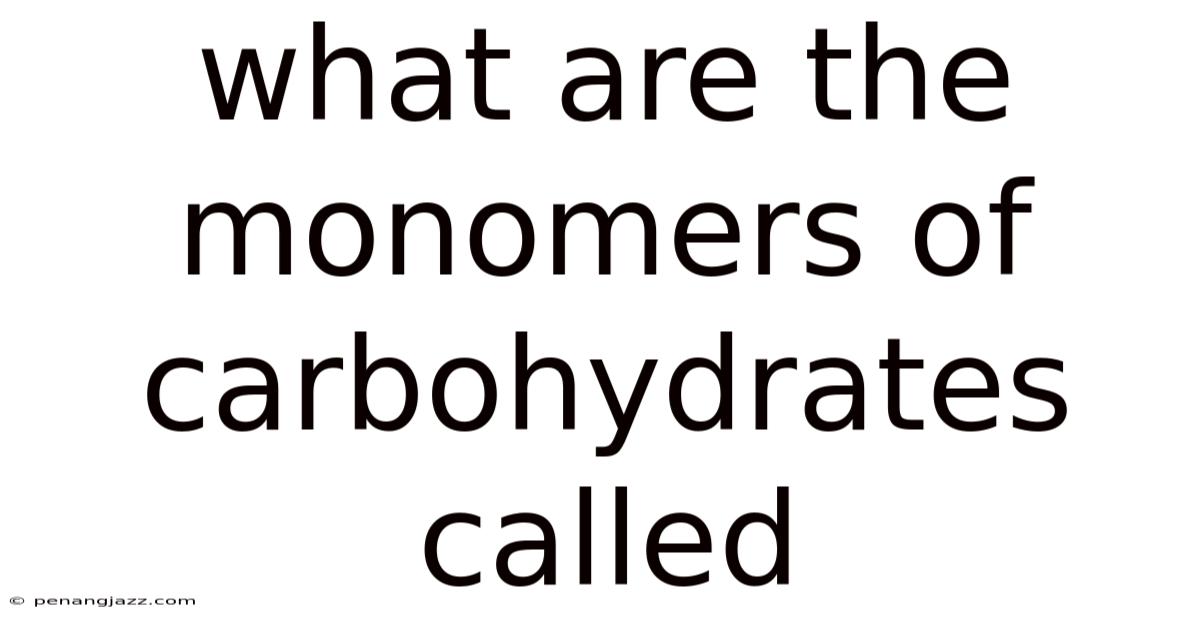What Are The Monomers Of Carbohydrates Called