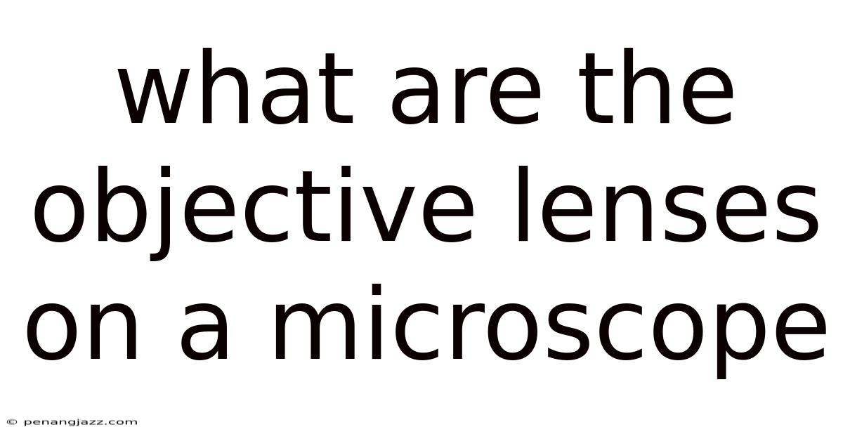 What Are The Objective Lenses On A Microscope