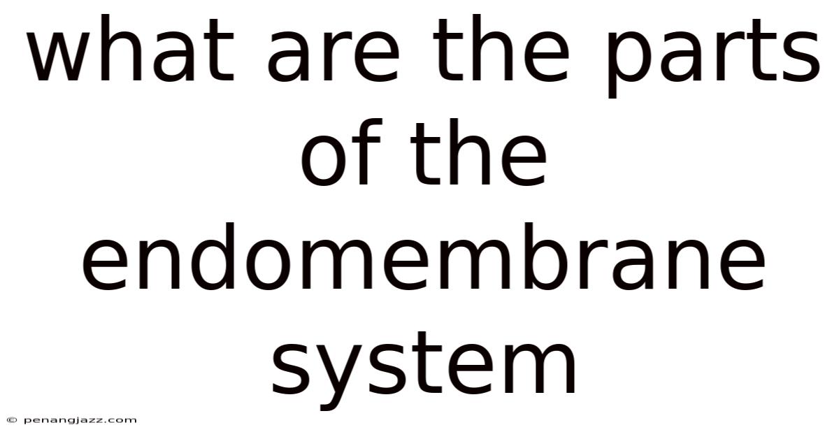 What Are The Parts Of The Endomembrane System