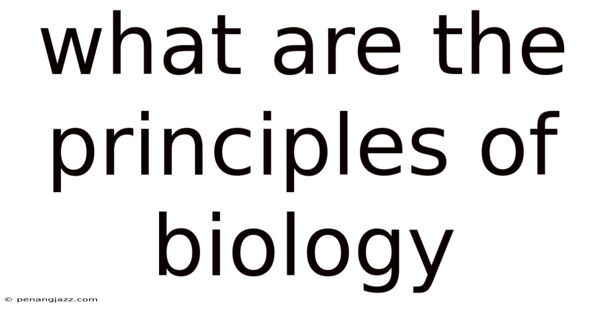 What Are The Principles Of Biology