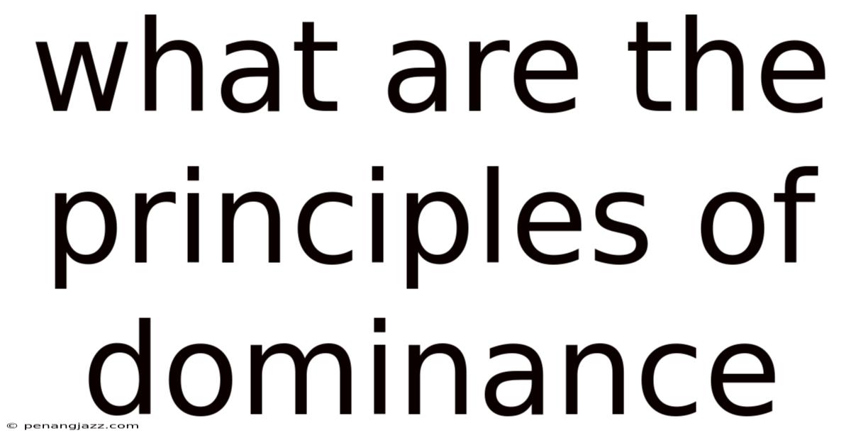 What Are The Principles Of Dominance