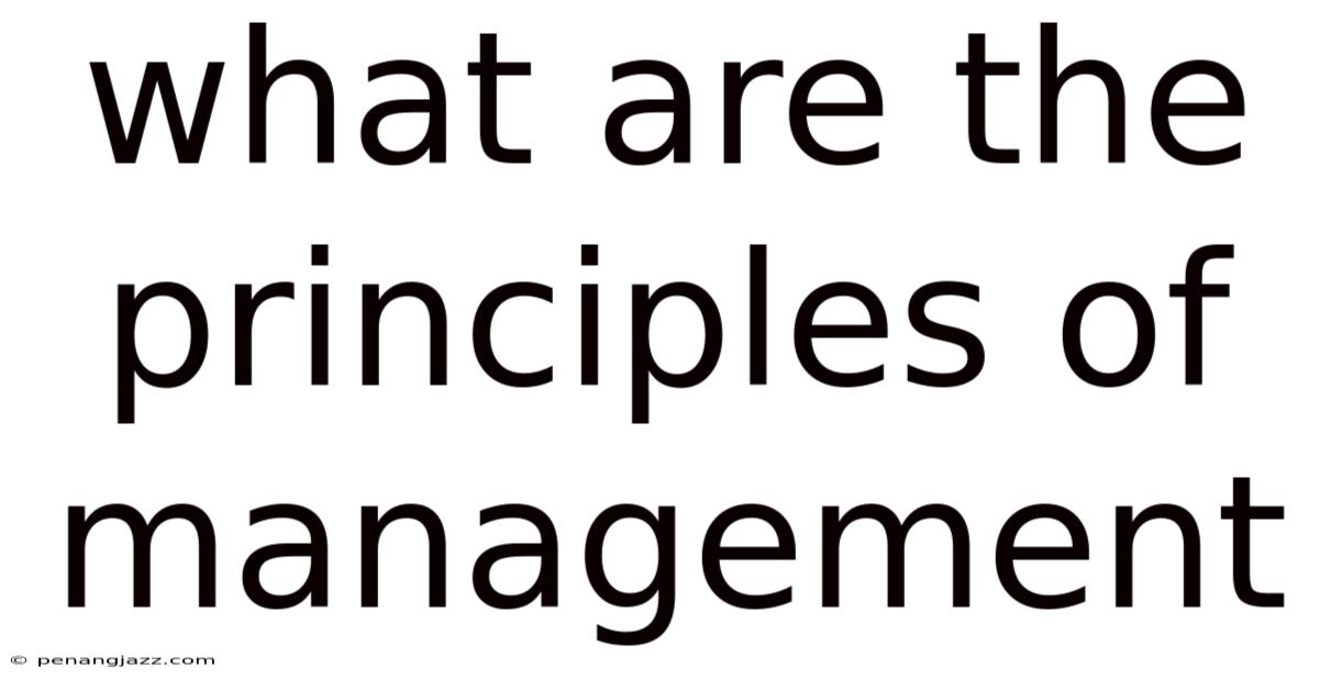 What Are The Principles Of Management