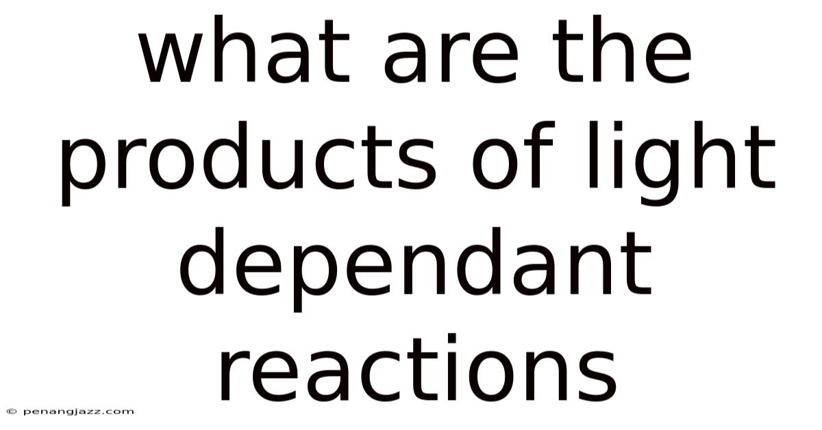 What Are The Products Of Light Dependant Reactions