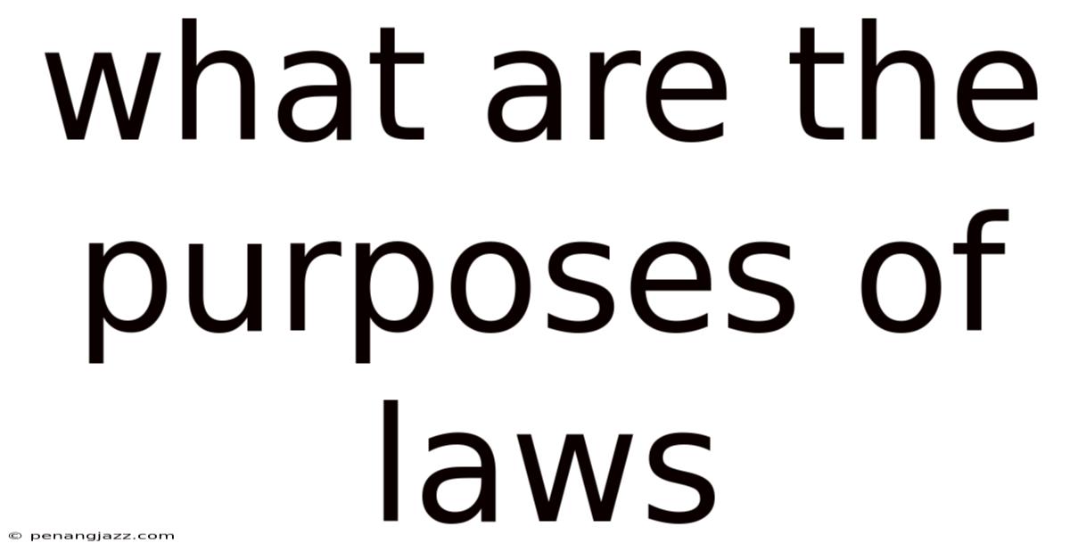 What Are The Purposes Of Laws