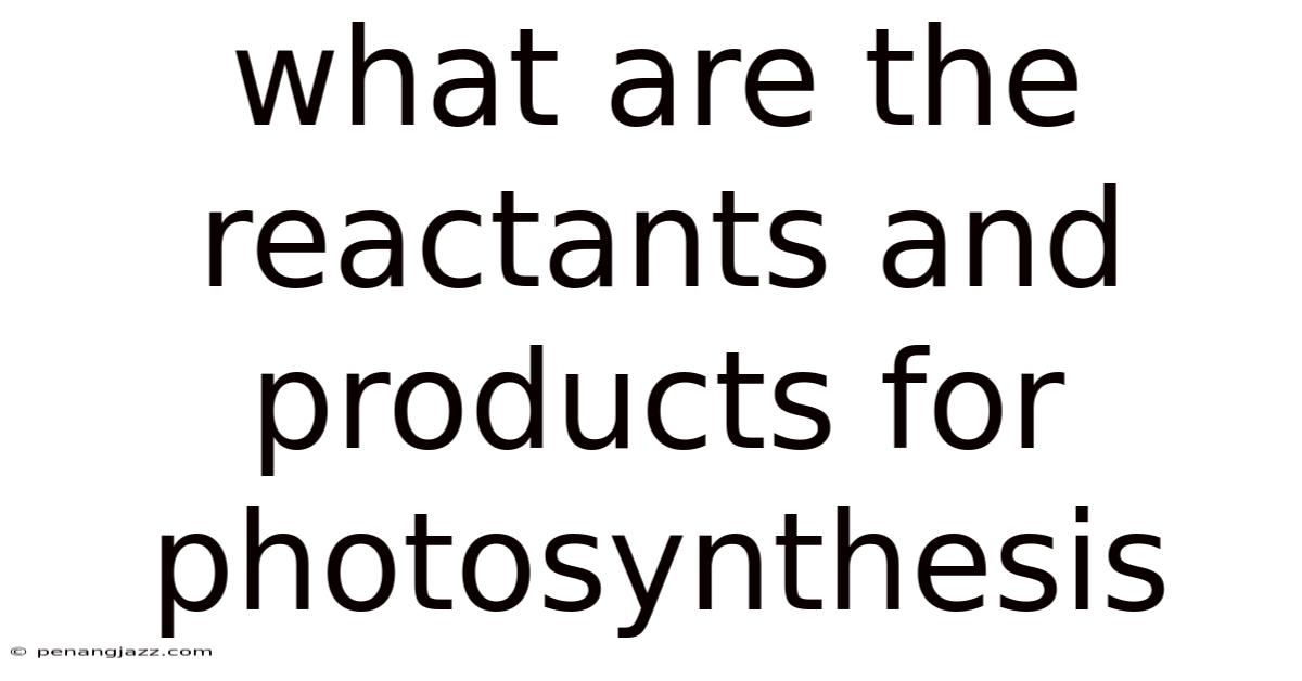 What Are The Reactants And Products For Photosynthesis
