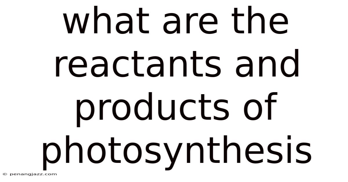What Are The Reactants And Products Of Photosynthesis
