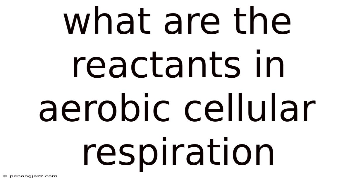 What Are The Reactants In Aerobic Cellular Respiration