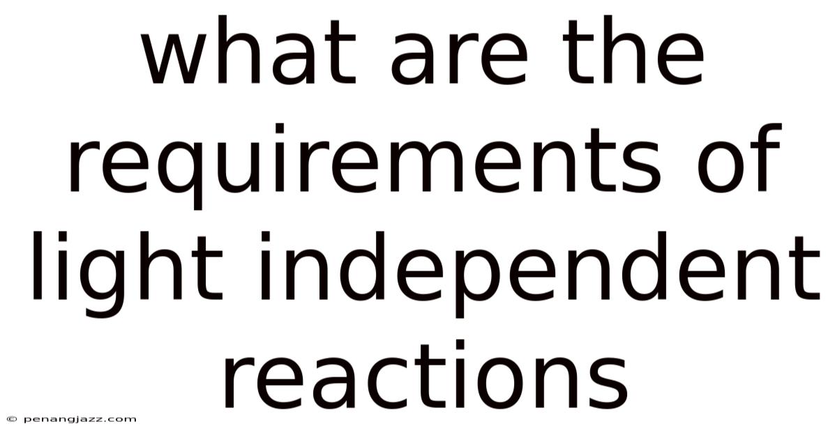 What Are The Requirements Of Light Independent Reactions