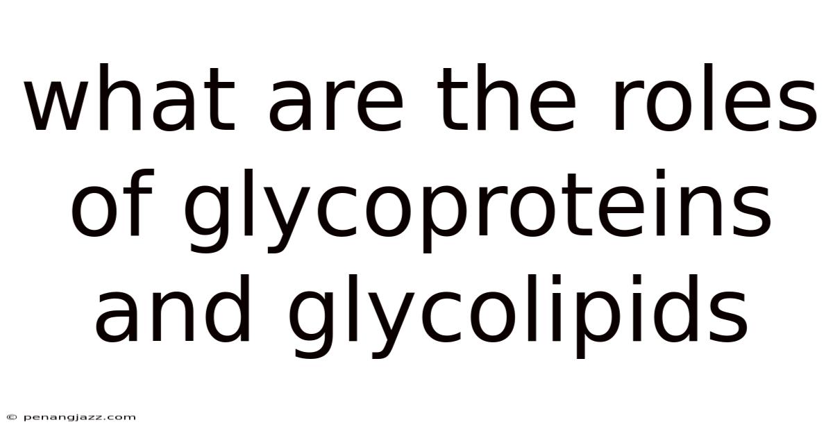 What Are The Roles Of Glycoproteins And Glycolipids