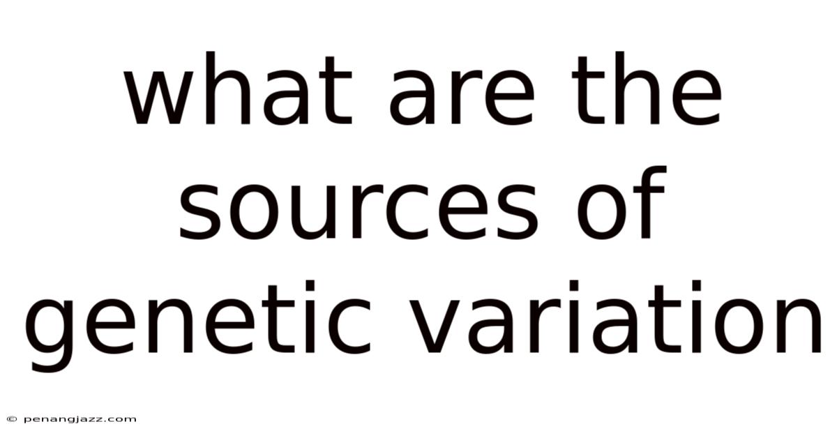 What Are The Sources Of Genetic Variation