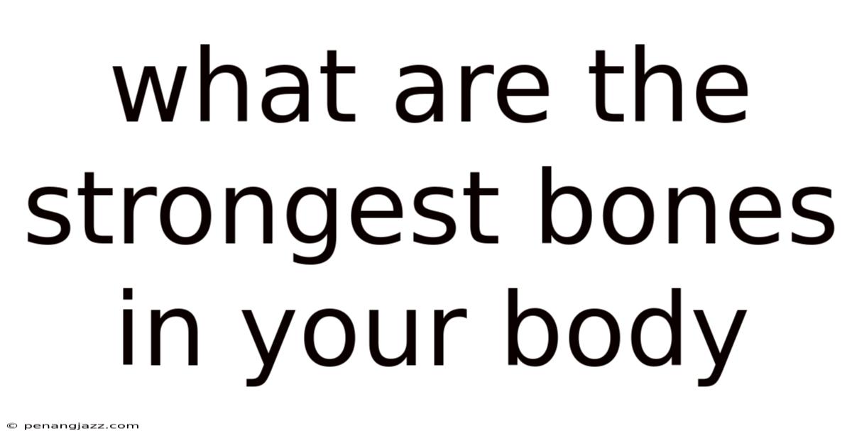 What Are The Strongest Bones In Your Body