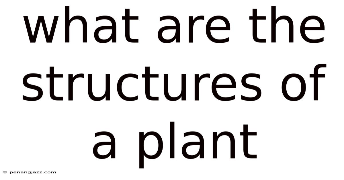 What Are The Structures Of A Plant