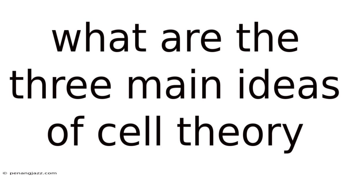 What Are The Three Main Ideas Of Cell Theory