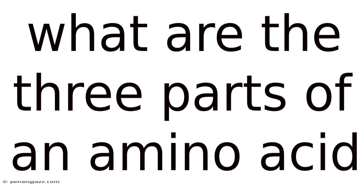 What Are The Three Parts Of An Amino Acid