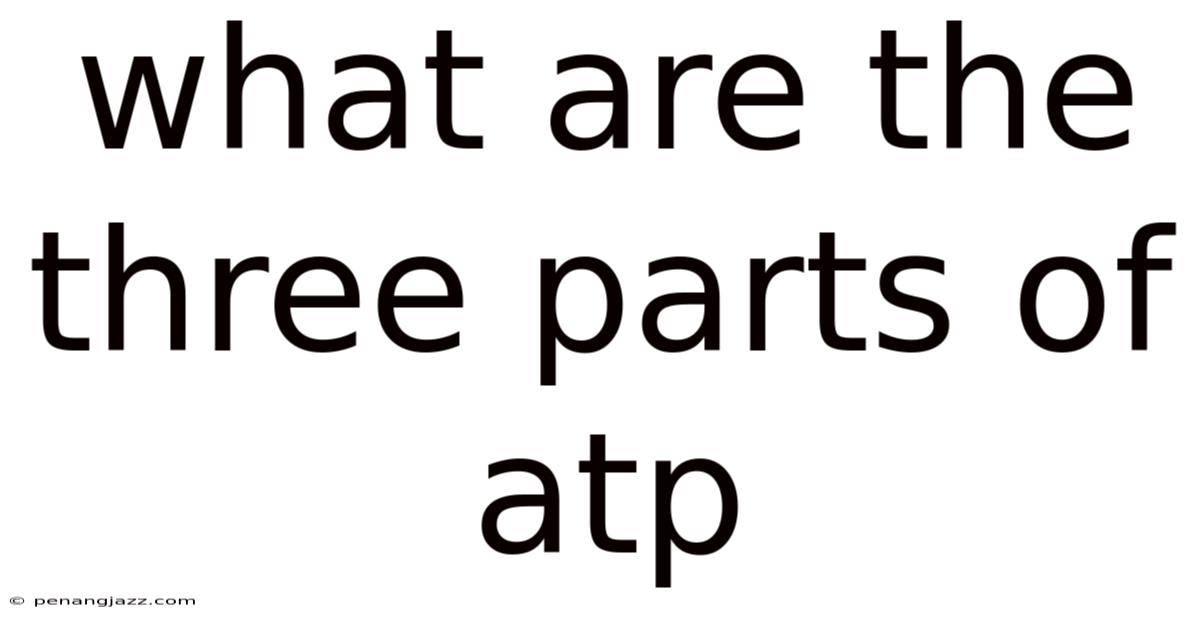 What Are The Three Parts Of Atp