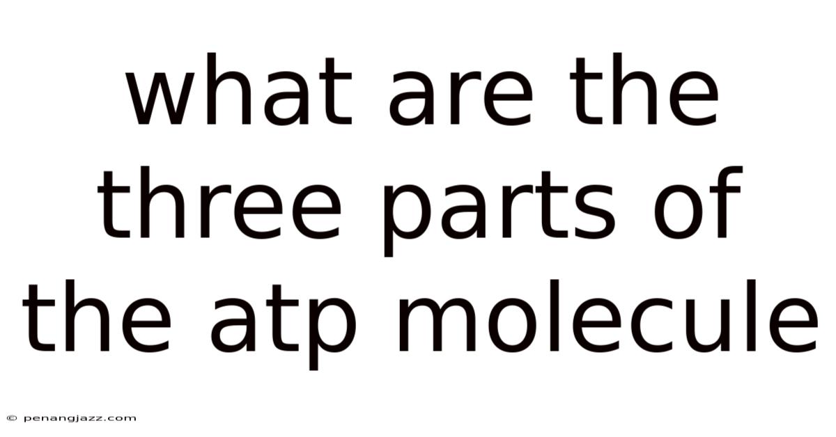 What Are The Three Parts Of The Atp Molecule