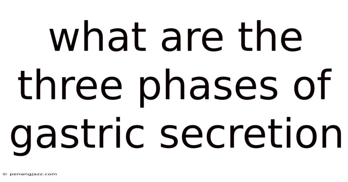 What Are The Three Phases Of Gastric Secretion
