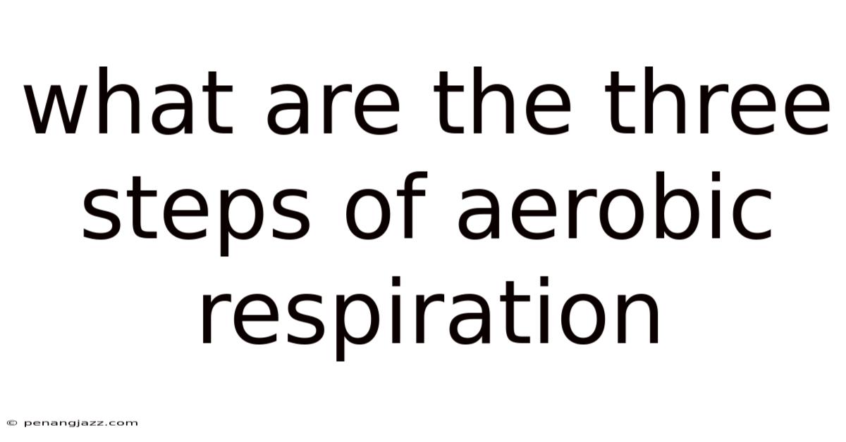 What Are The Three Steps Of Aerobic Respiration